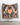 Ceremony Throw Blanket - Biquette