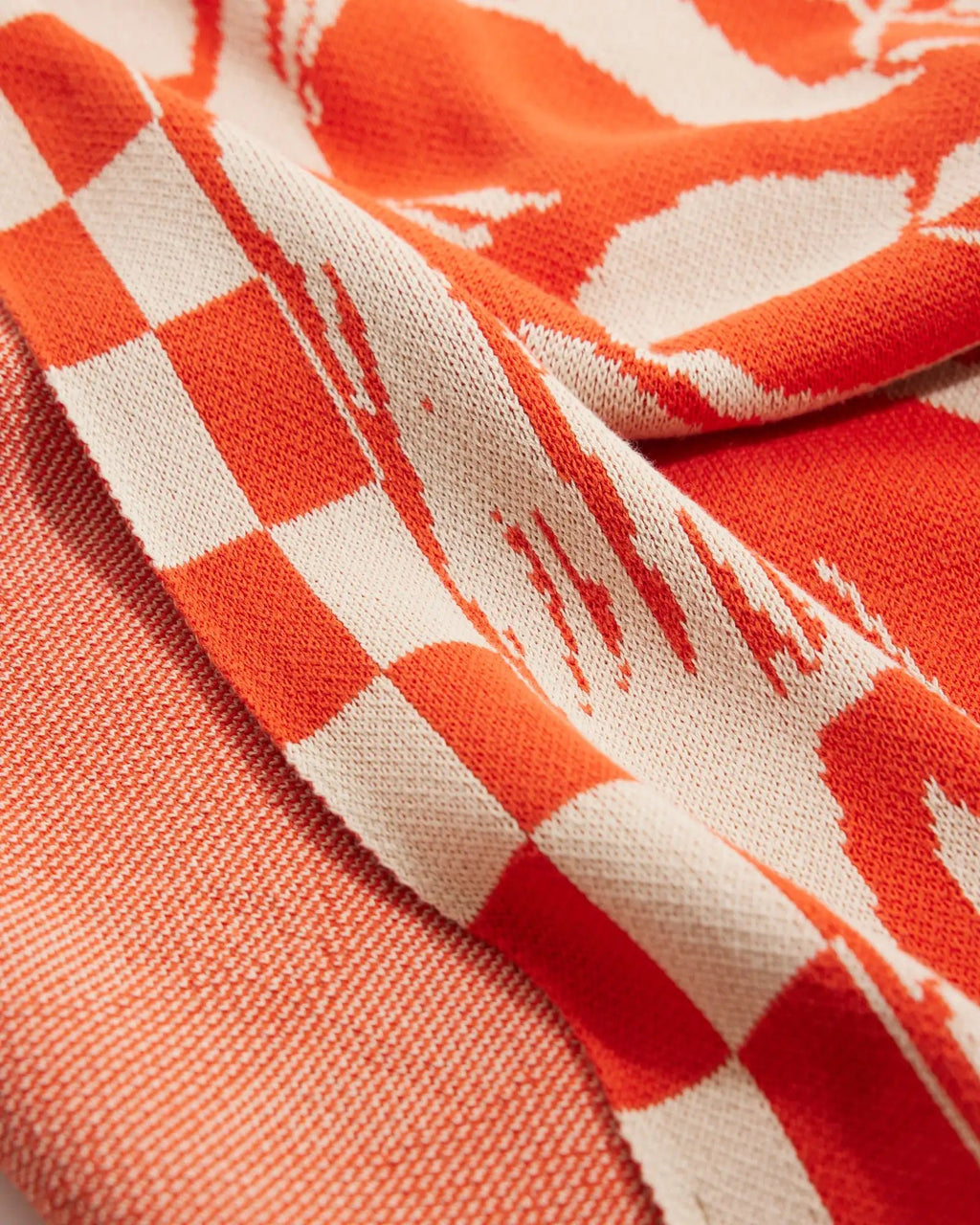 Imagination - Biquette