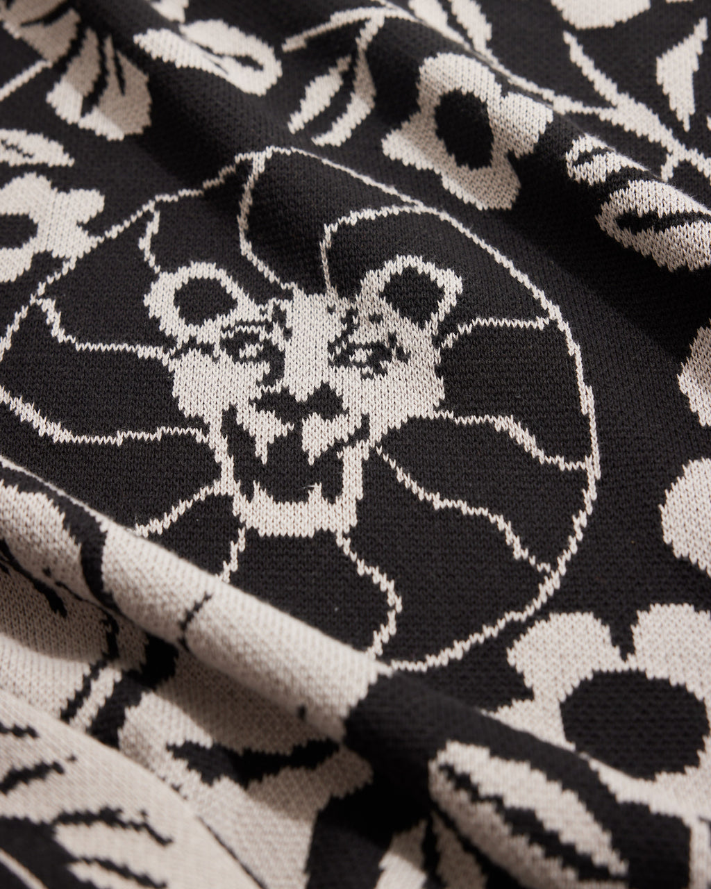 Imagination - Biquette