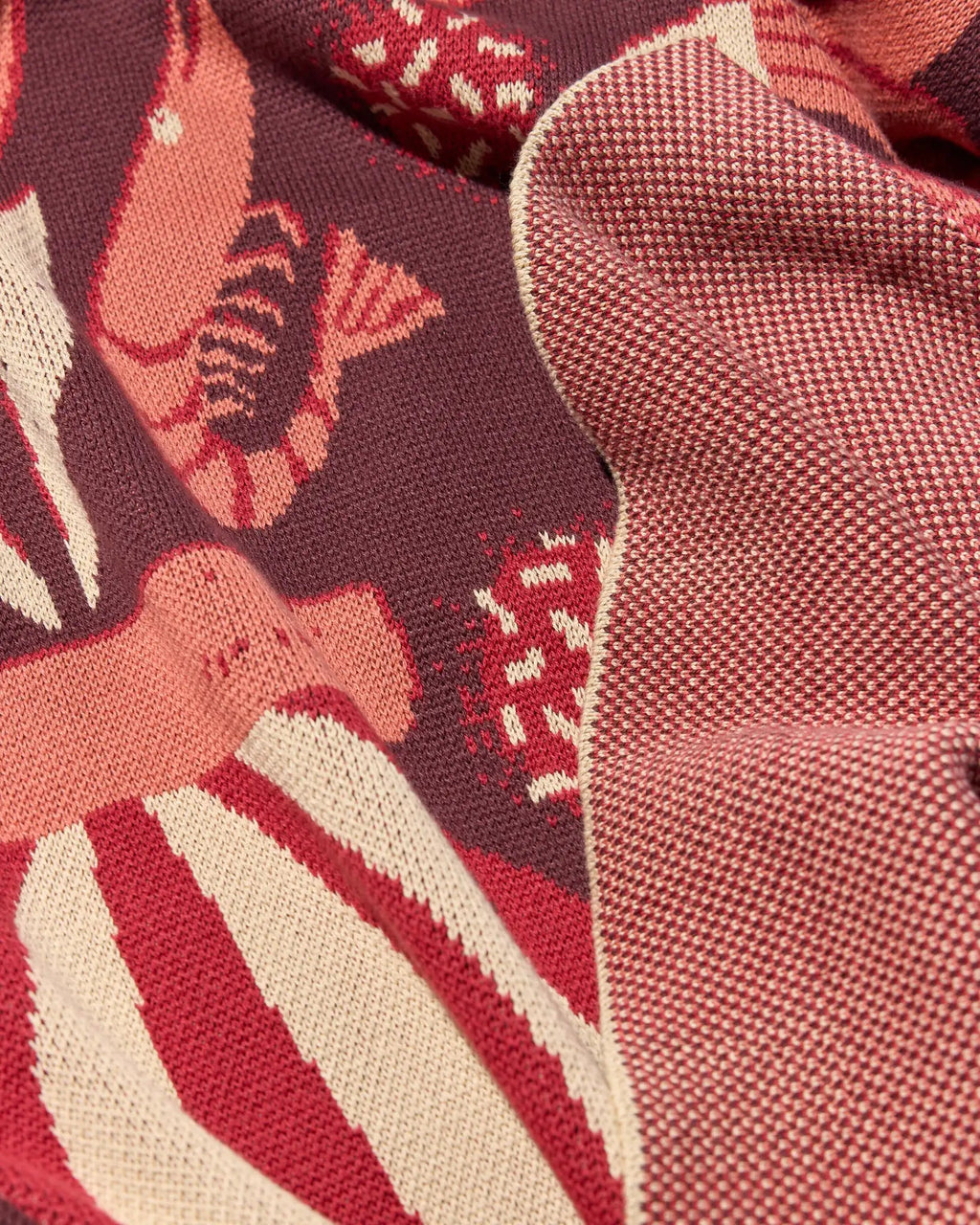 Le Bouquet - Biquette