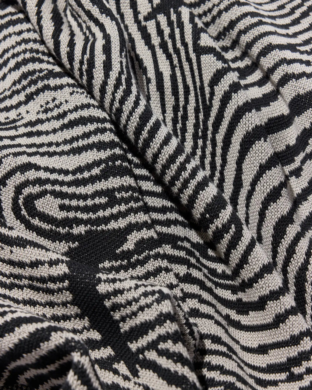 Swifts - Throw Blanket - Biquette