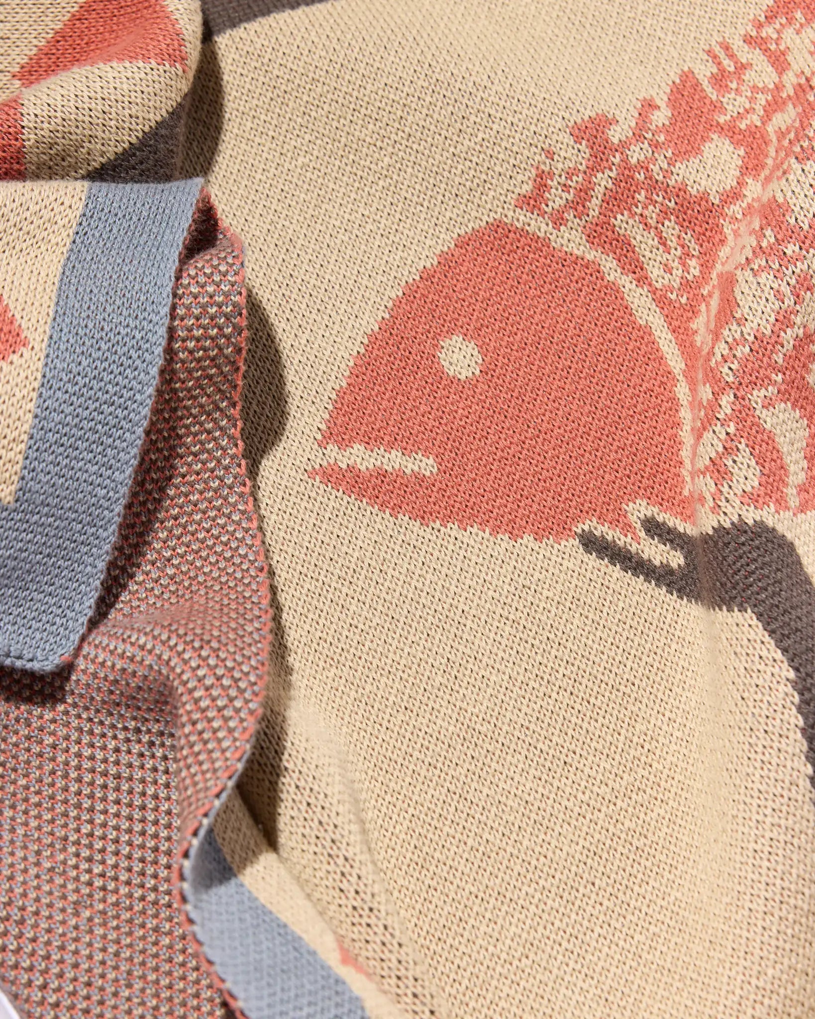 Un Beau Poisson - Biquette